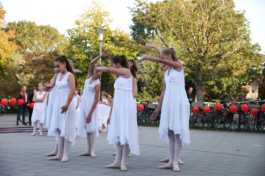 Schoolplein Festival B 483.jpg